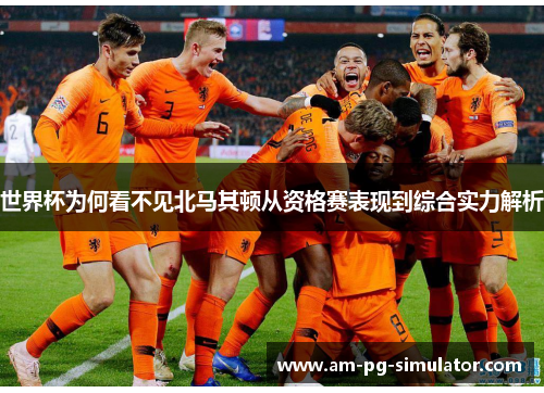 世界杯为何看不见北马其顿从资格赛表现到综合实力解析