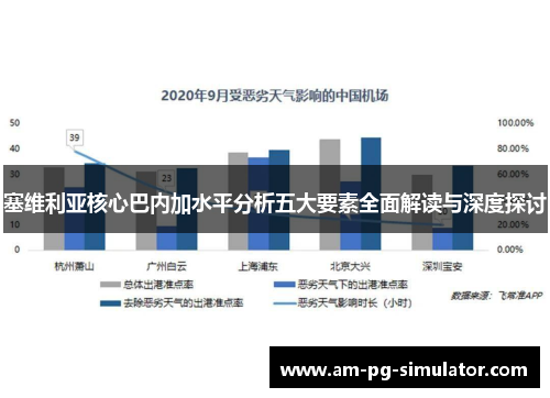 塞维利亚核心巴内加水平分析五大要素全面解读与深度探讨