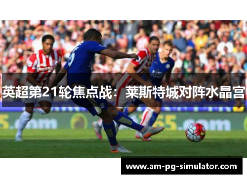 英超第21轮焦点战：莱斯特城对阵水晶宫