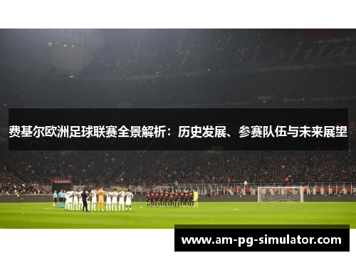 费基尔欧洲足球联赛全景解析：历史发展、参赛队伍与未来展望