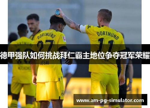 德甲强队如何挑战拜仁霸主地位争夺冠军荣耀
