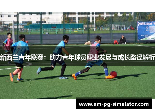 新西兰青年联赛：助力青年球员职业发展与成长路径解析