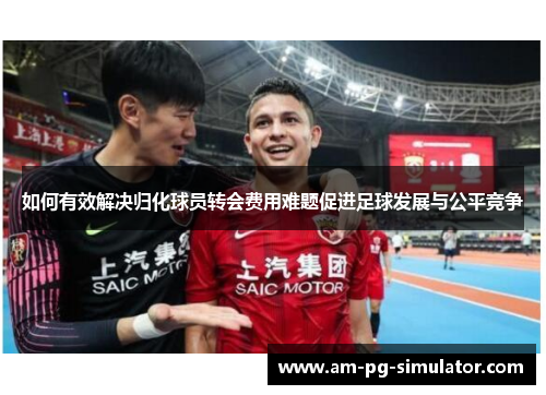 如何有效解决归化球员转会费用难题促进足球发展与公平竞争
